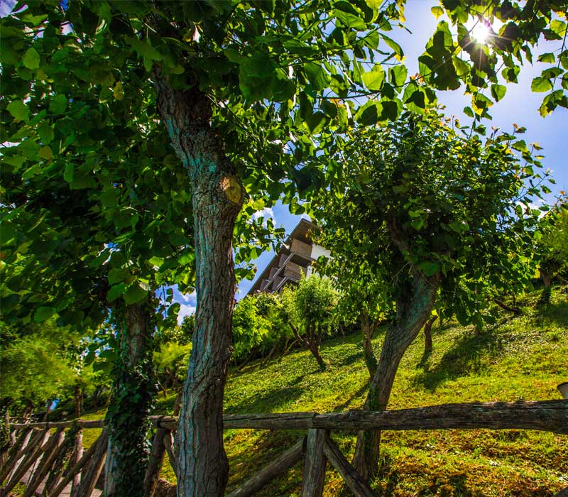 Passeggiata nel nostro giardino
