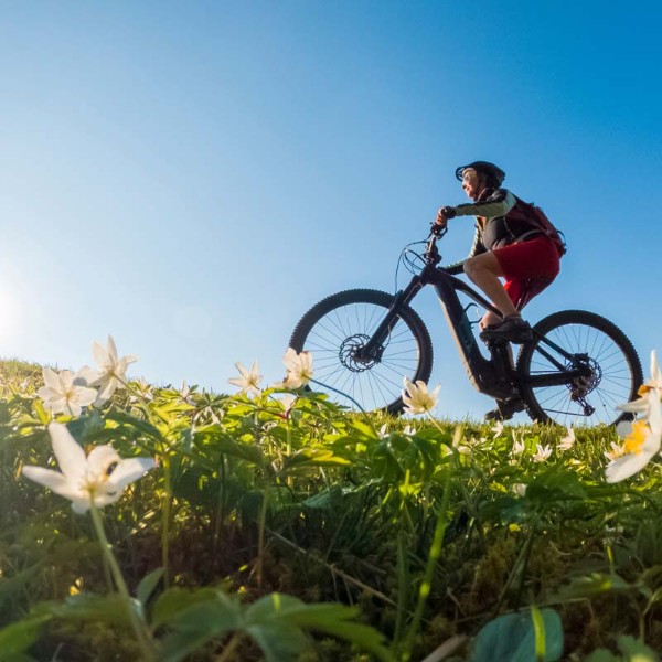 Escursioni in bicicletta – Vacanza 2023 tra sport e natura