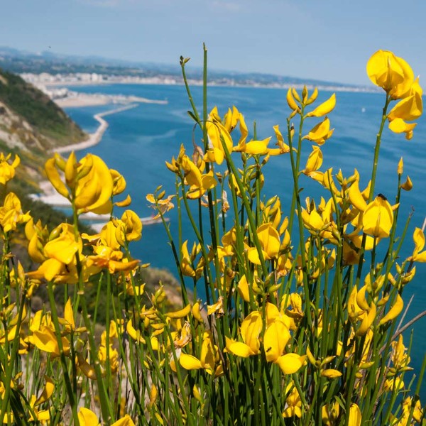 Cosa fare a Gabicce Mare per i ponti